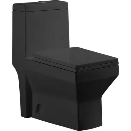 Monoblok unitaz COCO 6184